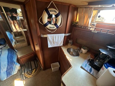 Sea-ray 360-AFT-CABIN image