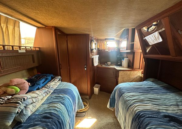 Sea-ray 360-AFT-CABIN image