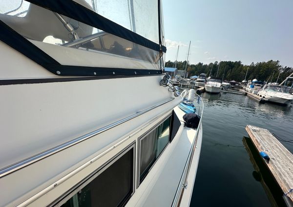 Sea-ray 360-AFT-CABIN image