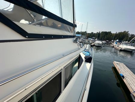 Sea-ray 360-AFT-CABIN image