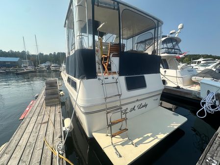 Sea-ray 360-AFT-CABIN image