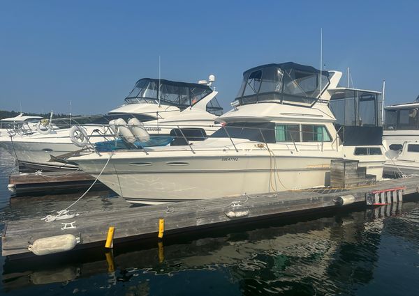 Sea-ray 360-AFT-CABIN image