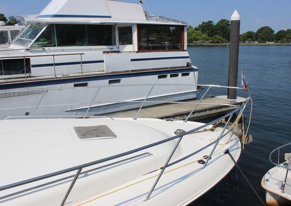 Sea Ray 420 Aft Cabin image