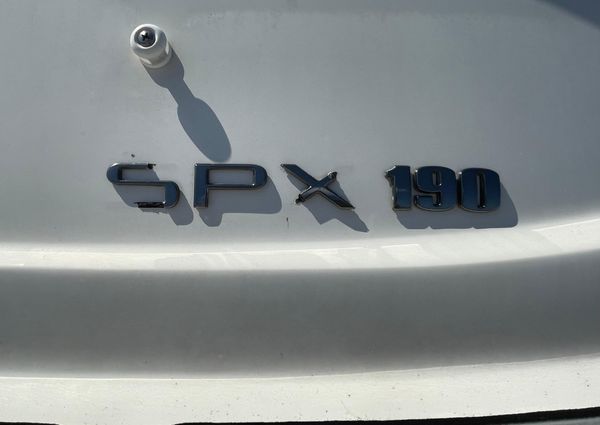 Sea-ray SPX-190- image