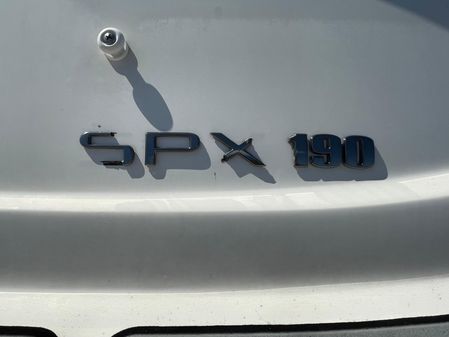 Sea-ray SPX-190- image