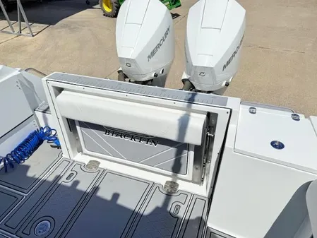 Blackfin 252-CC image