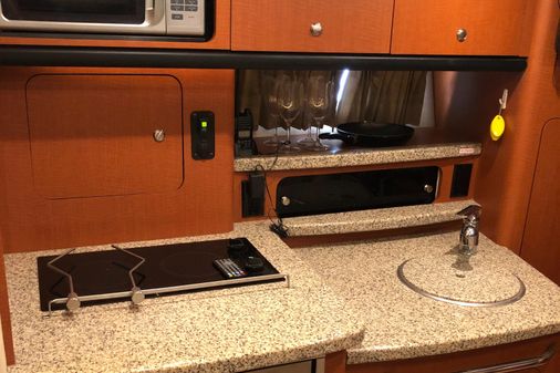 Chaparral Signature 310 image