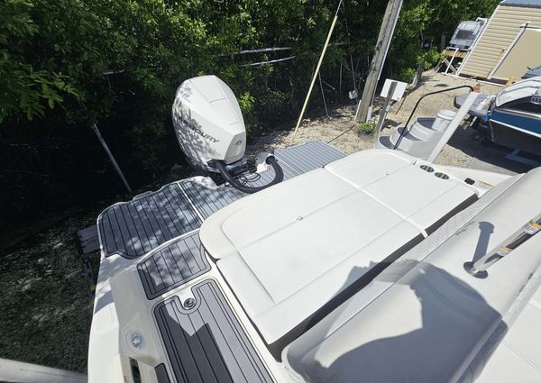 Sea Ray 270SDX-OB image