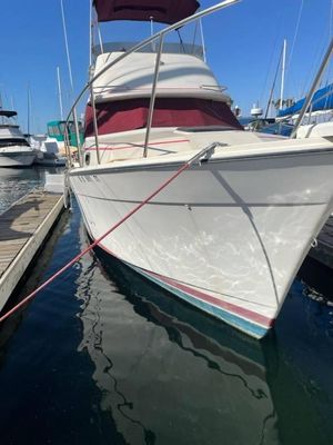 Bayliner 3270 Explorer - main image