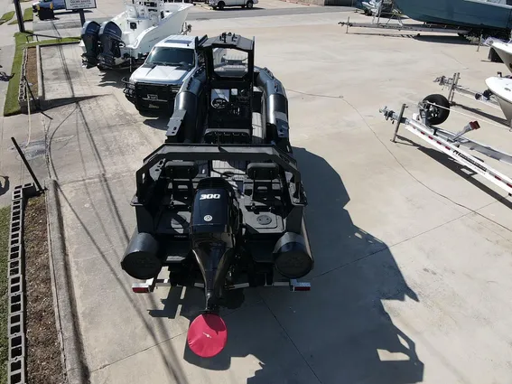 DGS 22 Monster image