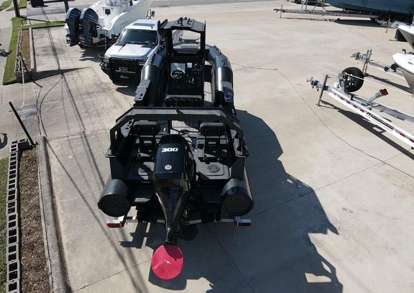 DGS 22 Monster image