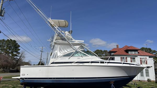 Bertram 30 Moppie