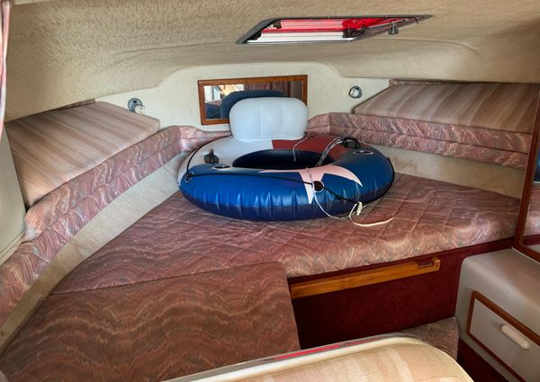 Sea Ray 290 Sundancer image