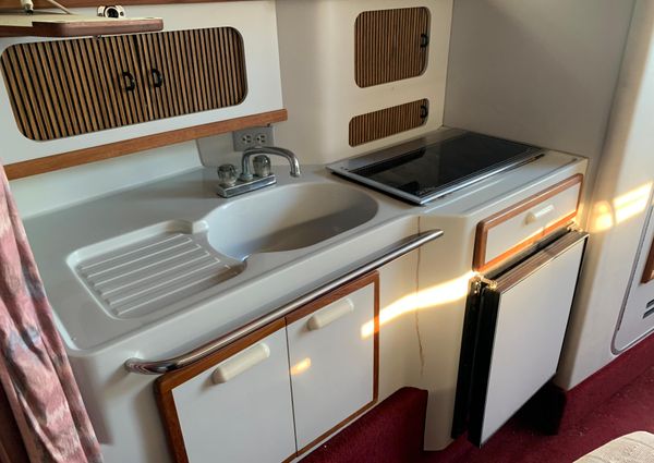 Sea Ray 290 Sundancer image