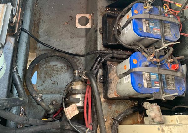 Sea Ray 290 Sundancer image