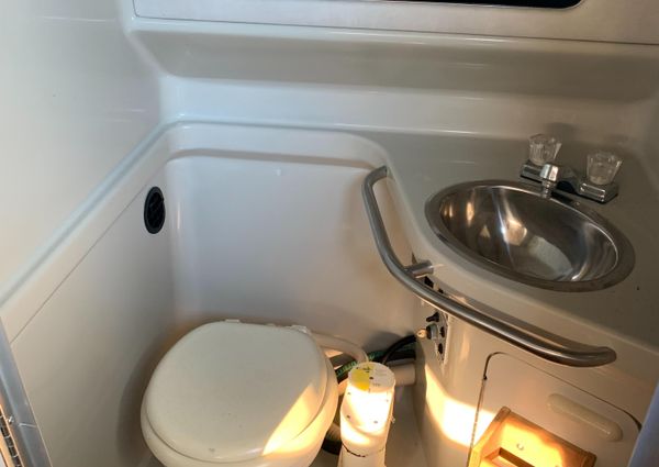 Sea Ray 290 Sundancer image