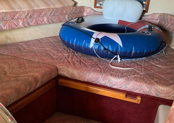 Sea Ray 290 Sundancer image