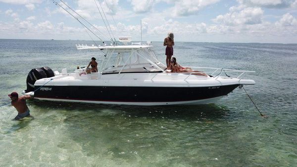 Intrepid 323