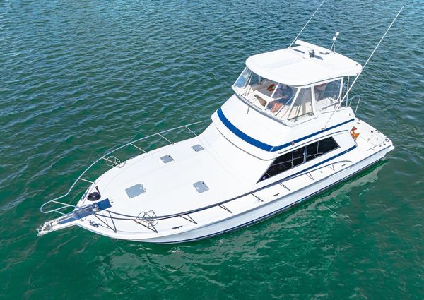 Riviera 43 Flybridge image