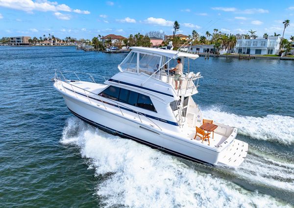 Riviera 43 Flybridge image