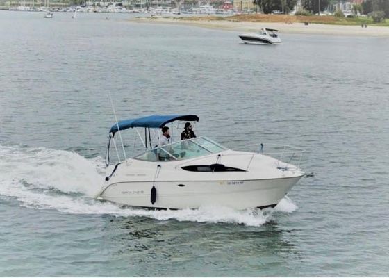 Bayliner 245 SB - main image