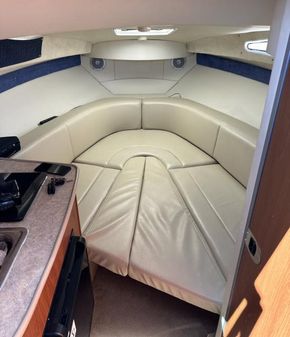Bayliner 245 SB image