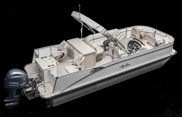 2023 Avalon Catalina Fish