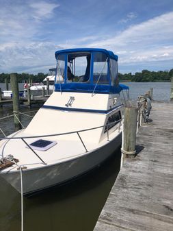 Pacemaker 26 Flybridge Cruiser image