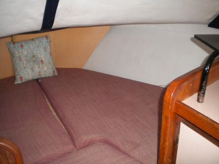 Pacemaker 26 Flybridge Cruiser image