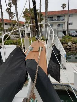 Custom Duncan Marine Garden 46 image
