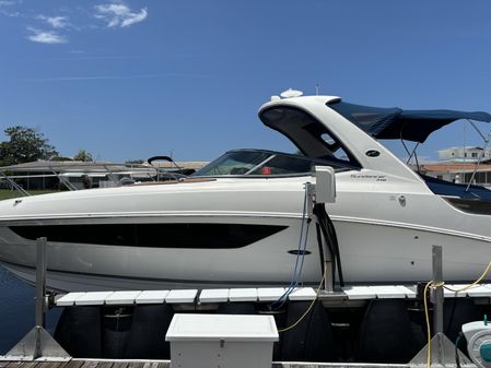 Sea Ray 310 image