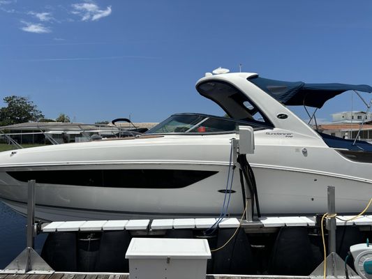 Sea Ray 310 - main image