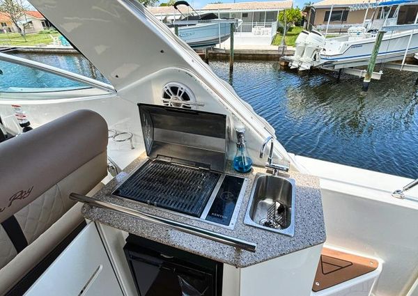 Sea Ray 310 image