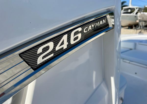 Robalo 246-CAYMAN image