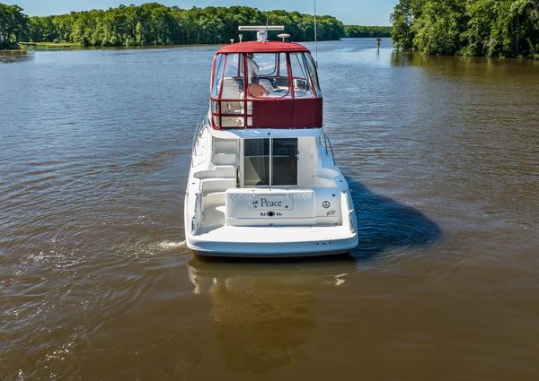 Sea Ray 420 Sedan Bridge image