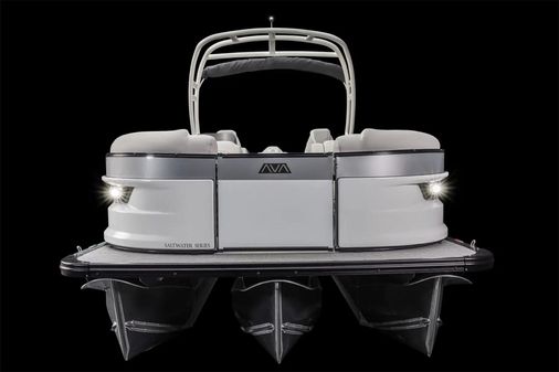 Avalon EXCALIBUR-LTD-QUAD-LOUNGE image