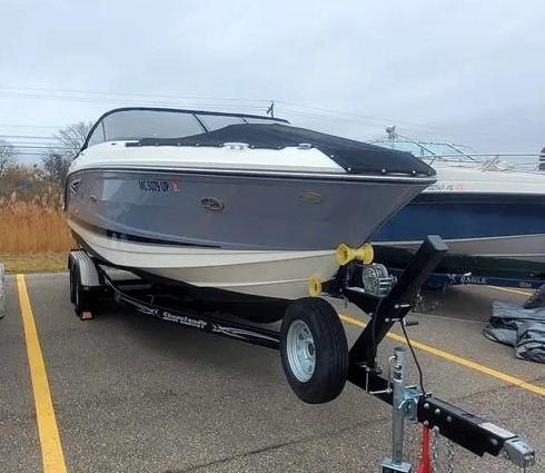 Sea Ray SLX 250 image