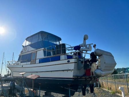 Marine-trader 44-TRI-CABIN image