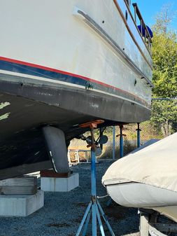 Marine Trader 44 Tri Cabin image