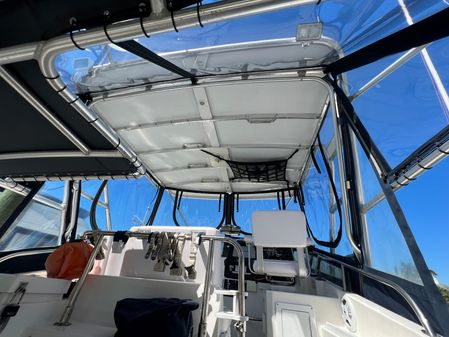 Albin 32 + 2 Command Bridge image