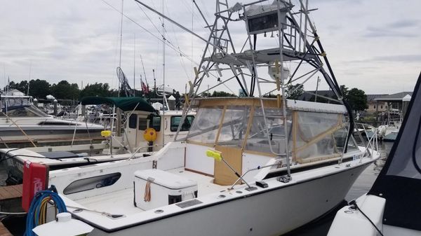 Bertram 28 Moppie