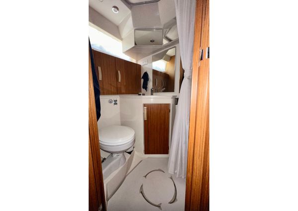 Greenline 33 Hybrid image