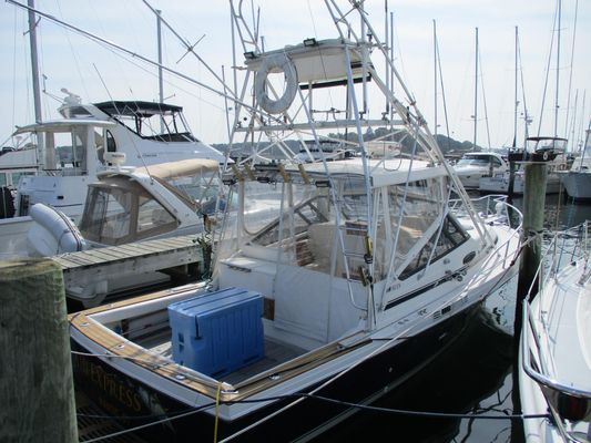 Blackfin 32 Combi - main image