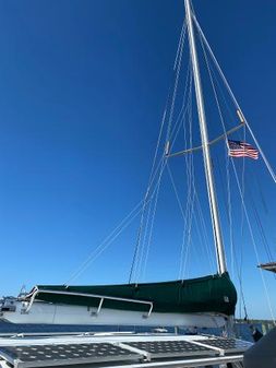 Manta 42 image