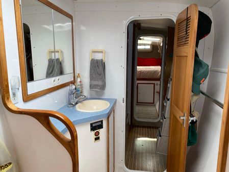 Manta 42 image
