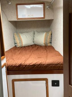 Manta 42 image