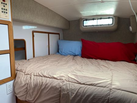 Manta 42 image