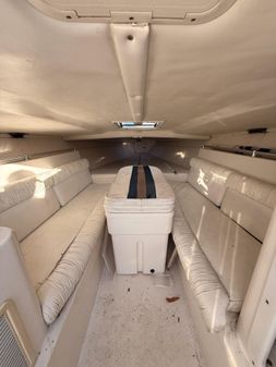 Avanti 33-SPORT-DECK image