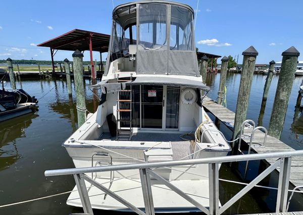 Silverton FLYBRIDGE-SEDAN image