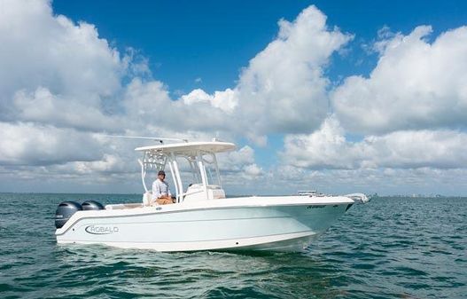 Robalo R242-CENTER-CONSOLE image